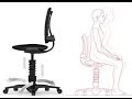 3Dee Ergonomic Office Chair