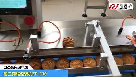 ZP-530S SERVO MOTOR PACKING MACHINE(0086 13590593459)