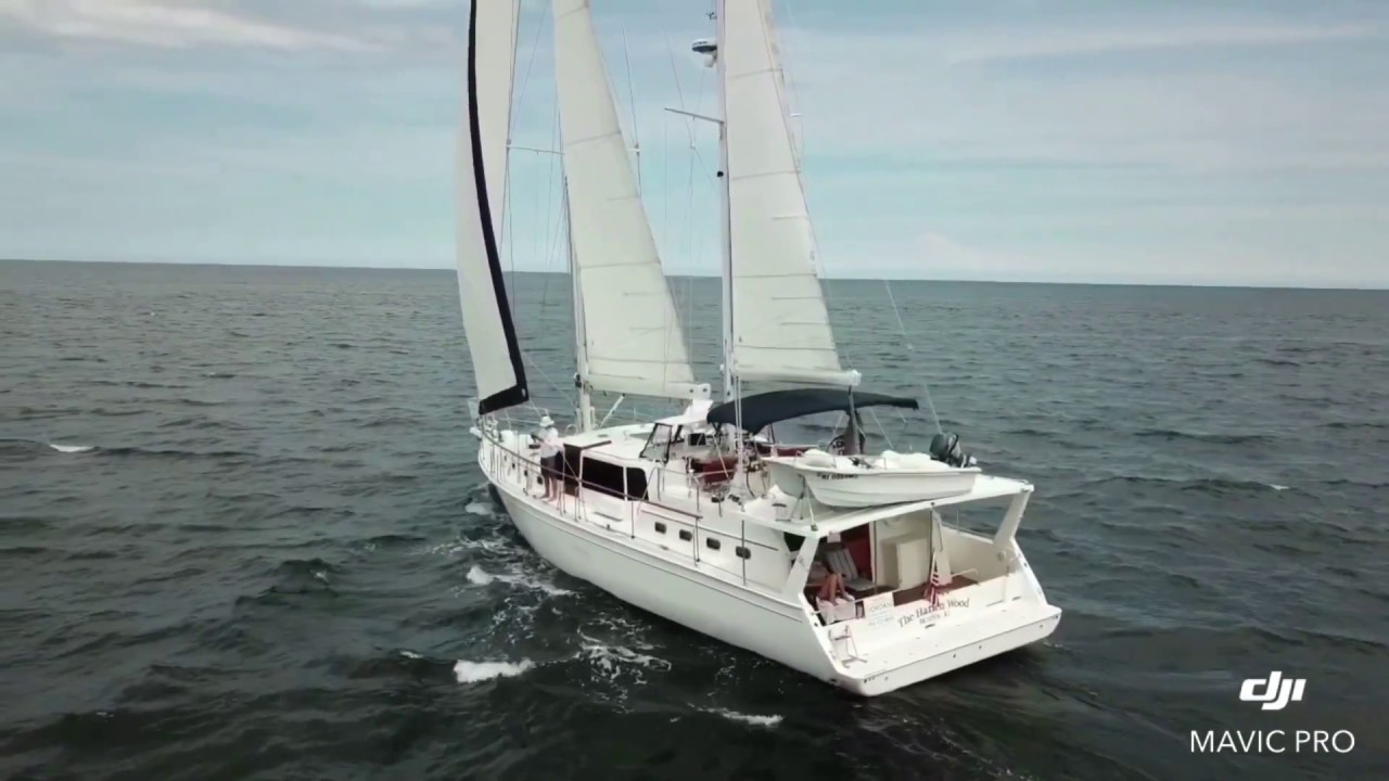 Shannon 53 HPS “The Harlen Wood”