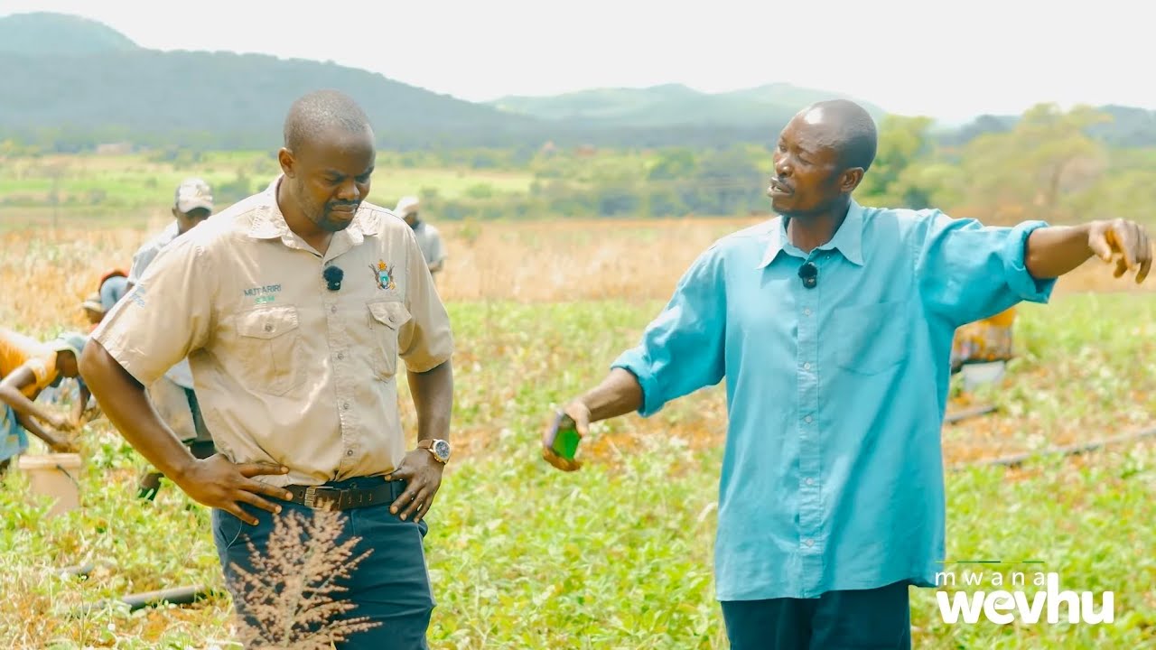 Don’t underestimate farming. He mastered  onion and groundnut farming & is raking in serious cash! 