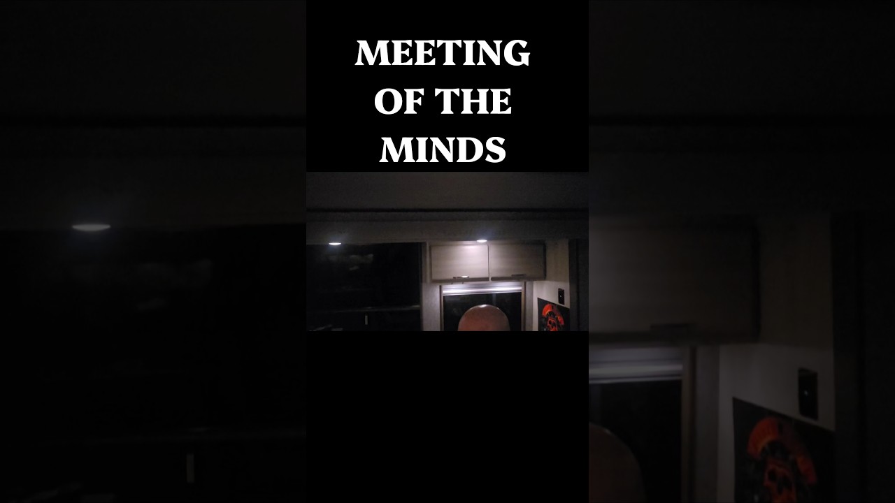 MEETING OF THE MINDS @zakkwyldetv   #music #heavymetal #guitar #danregancomedy