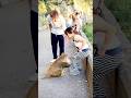 monkeys #funny #monkey