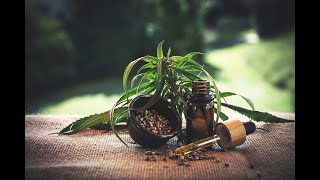 Building Cannabis Email Lists