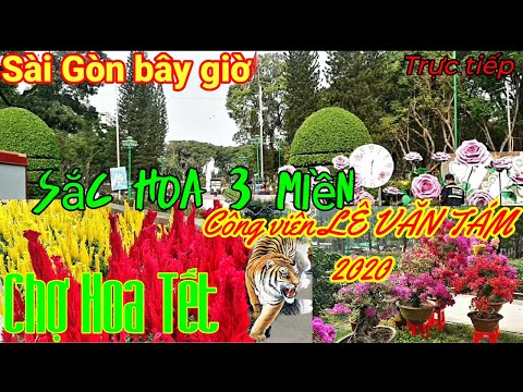 công viên lê văn tám hội chợ New Update Chợ HoaTết công viên Lê Văn Tám, Sài Gòn bây giờ,chợ hoaTết công viên Lê Văn Tám rộ sắc hoa 3 Miền.