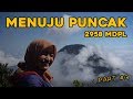 Menuju Puncak dan Kembali - Gunung Gede Part 3 (Via Putri)