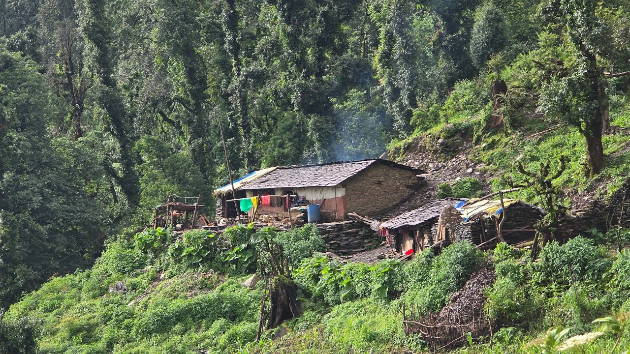 Himalayan Sheep Shepherd Life in Winter | Shepherd Food Cooking | Peaceful Himalayan Village Life
