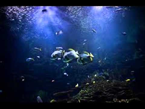 TRISTEZA MARINA - NELSON DIAZ. INTERPRETE: MARIBI ARELLANO