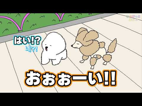 [FULL] 뭐라고?? | What??