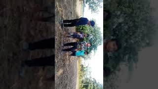 Mini Sort Story Local Action