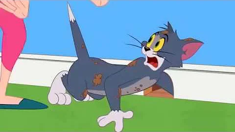 Tom And Jerry Full Episodes 2018 ✤ Tom Hair Loss