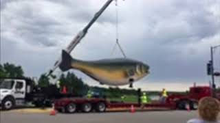 Baudette Gets It's New Willie the Walleye