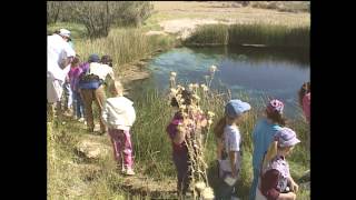 Ash Meadows - Nevada 150th