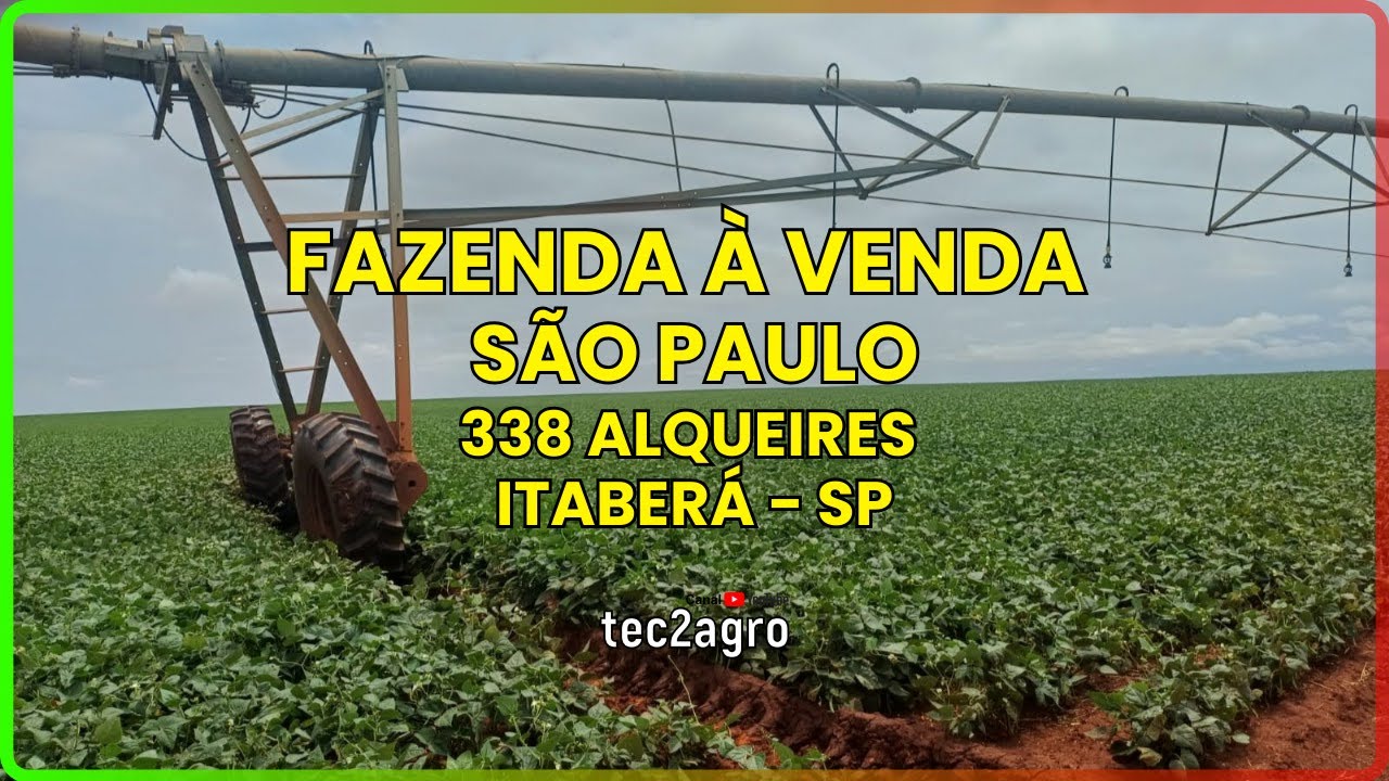 🌱 338 ALQ ITABERÁ - FAZENDA À VENDA EM SÃO PAULO [🌱DUPLA APTIDÃO] 
