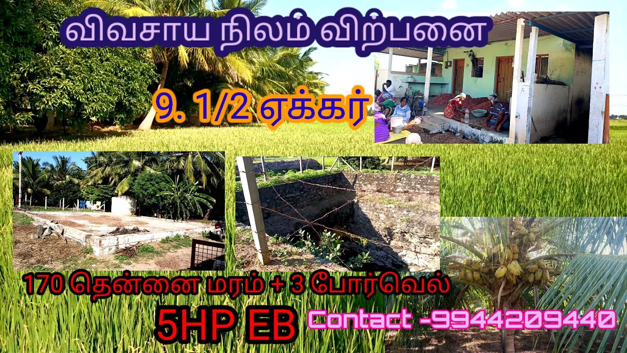 Agriculture land/Near Erumaipatti/Namakkal/9944209440/NKL Real estate