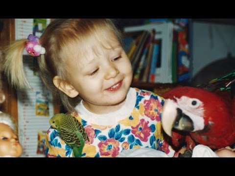 Wideo: Jak Wybrać Gadającą Papugę Dla Swojego Dziecka?