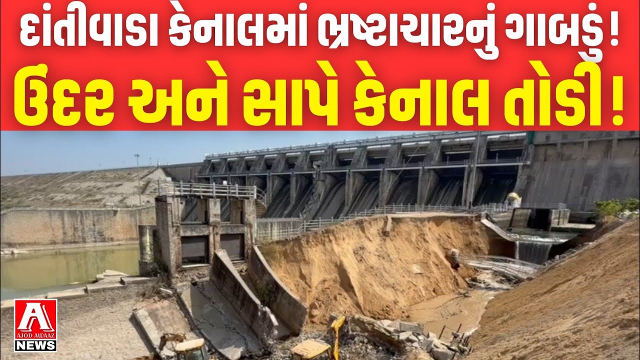 દાંતીવાડા કેનાલમાં ભ્રષ્ટાચારનું 50મીટર લાંબુ ગાબડું:અધિકારીઓનો બેશરમ દાવો:ઉંદર અને સાપે કેનાલ તોડી!