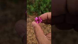 Celebrity Laser ruby Net Worth