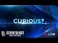 Live feed the scientology network
