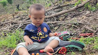 the life of a single mother and her one-year-old son harvesting plums in the mountains