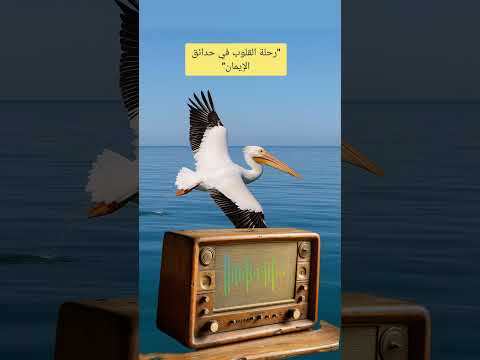 مواعظ من نور في حدائق الإيمان حدائق الإيمان حيث تنمو الأرواح وتزهر القلوب