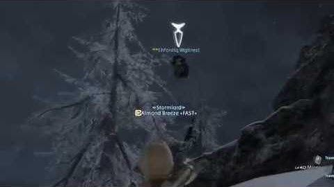 Mysterious FFXIV Bot Flying