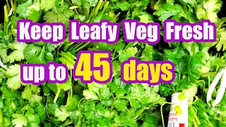 Keep Coriander Leaf Or Green Leafy Vegetables Fresh Up To 45 Days - 4 Experiments & Comparisons