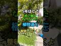 窮屈になった玄関周りの植物を整理整頓したら#剪定 #伐採