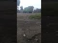 Даноша рве 