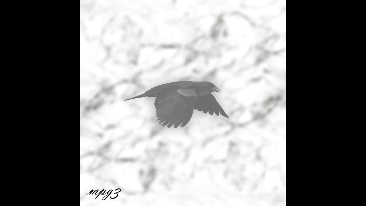 Blackbird - MPG3