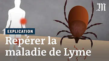 Comment savoir si une tique est porteuse de la maladie de Lyme