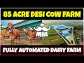 Amazing 85 acre modern desi cow farm in india a look at mrmilks hightech dairy operation