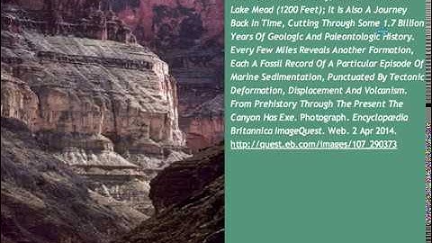 IB Biology-Descent with Modification-Evolution by Natural Selection