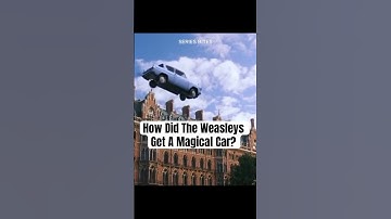 How did the Weasleys get a magical car? #harrypotter #potterhead #weasley #harrypotterfan