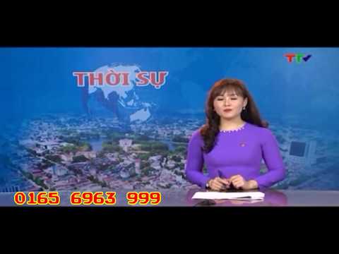 Thời sự cam sành hàm yên