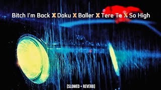 Bitch I'm Back X Daku X Baller X Tere Te X So High || Mashup Songs || [Slowed   Reverb]