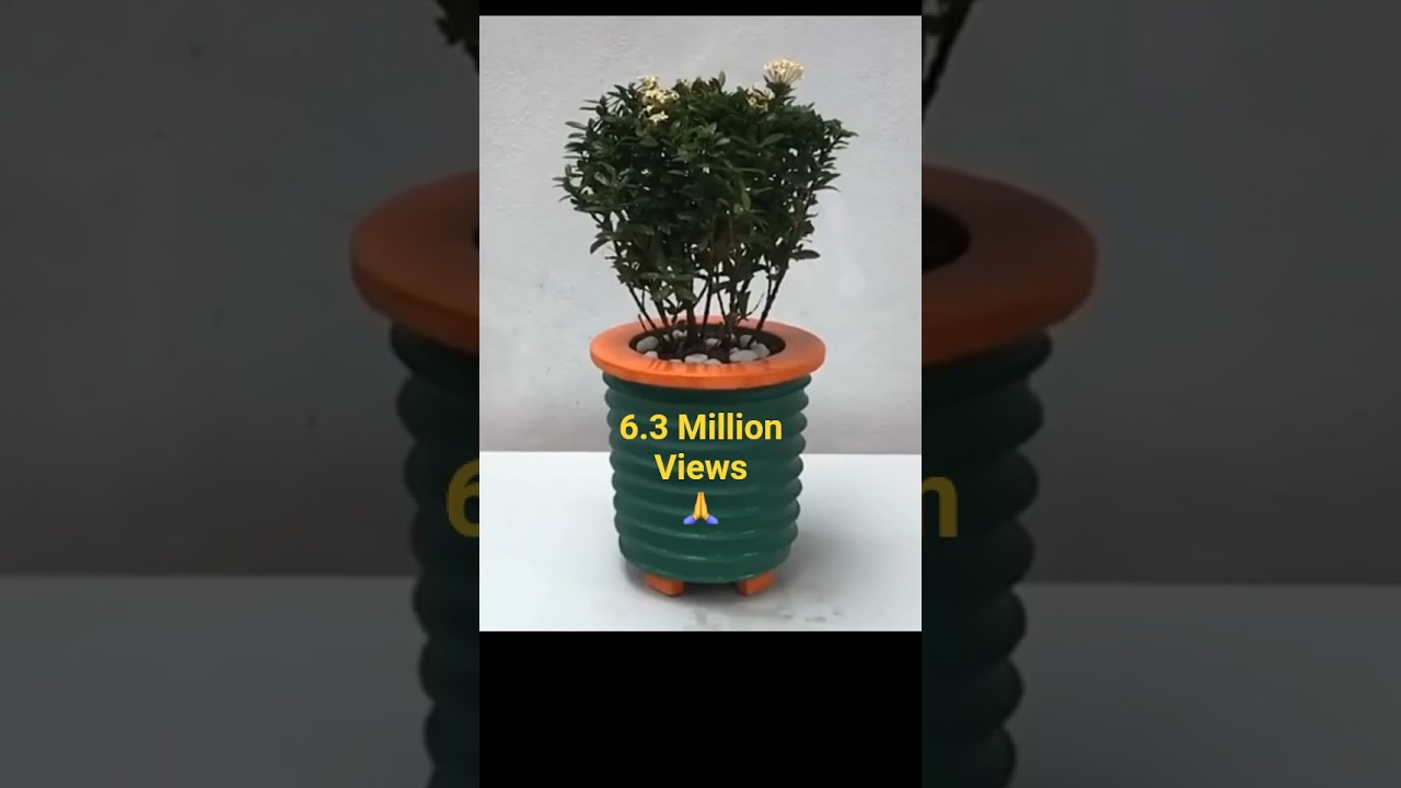 DIY Cement Flower Pots: Easy and Stylish Garden Decor