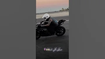 اشيل كلبي اذبه تعبني الله يتعبه تصاميم حب اغاني عراقيه تيك توك ستوريات انستا حالات واتساب 