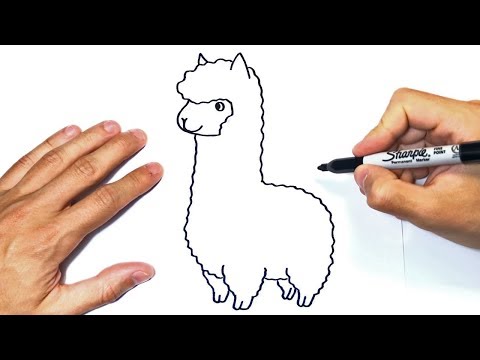 Video: Cómo Dibujar Una Llama