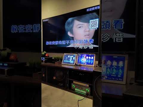 背影~林宥嘉 (Kenny Yip Cover)