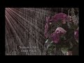 Timeworn Tales - Ghost Petals