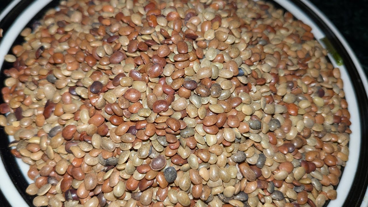 aaiye sikhe daal ki puri banana ♥️😋 #viral #viralvideo #trending #trend #foodie #food 