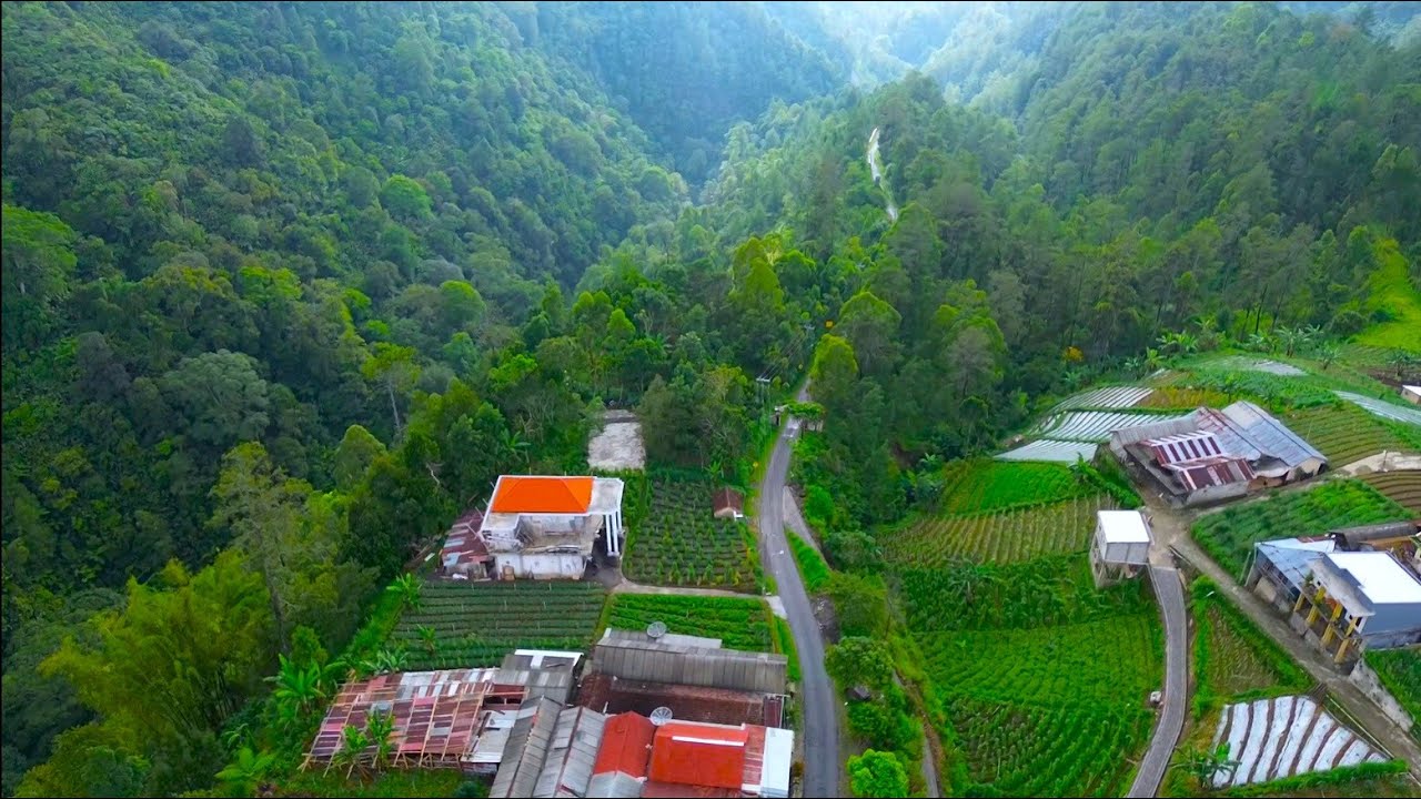 DESA INDAH TERPENCIL TEPI JURANG TENGAH HUTAN, NEPALNYA JAWA TIMUR❗...DUSUN WONOMULYO, MAGETAN
