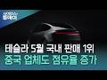 테슬라, 지난달 국내 판매 1위...안방 내어주나 / YTN 사이언스