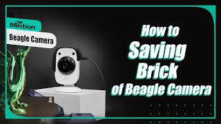 06 How to Saving Brick Beagle Camera