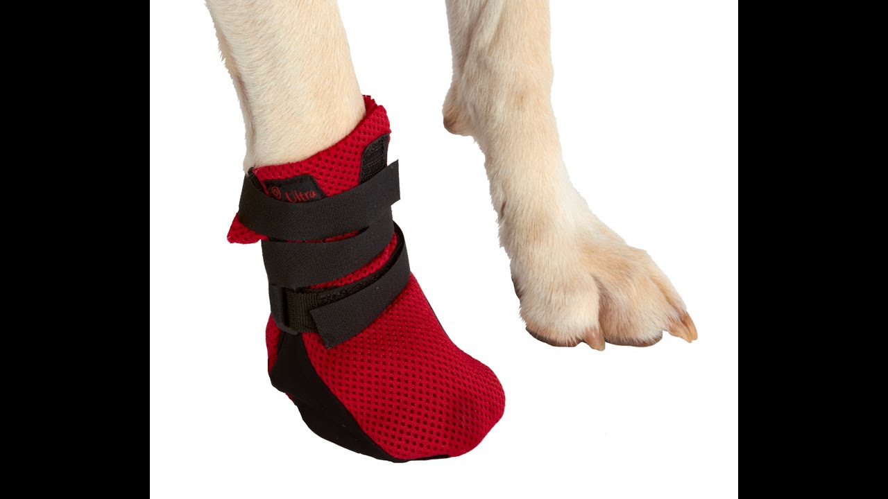 ultra paws wound boot petsmart