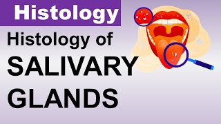 Inderbir Singh Histology Chp14 | Histology of SALIVARY GLANDS | Dr Asif Lectures