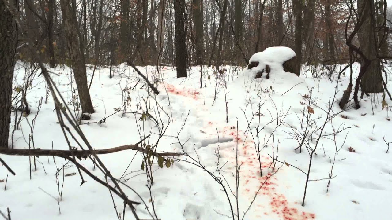 blood trail doe ramcat broadheads YouTube