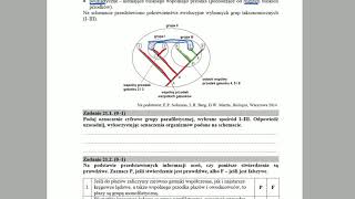 EWOLUCJONIZM - Grupy taksonomiczne - ZADANIA MATURALNE Z BIOLOGII 