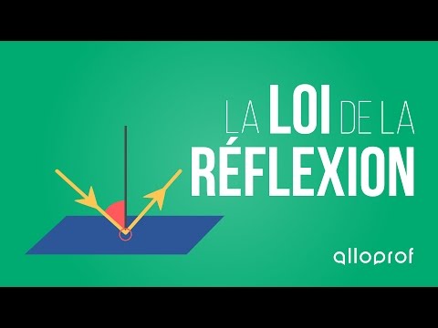 Vidéo: Quels sont les différents types de miroirs ?