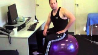 Stediball - The Perfect Office Chair